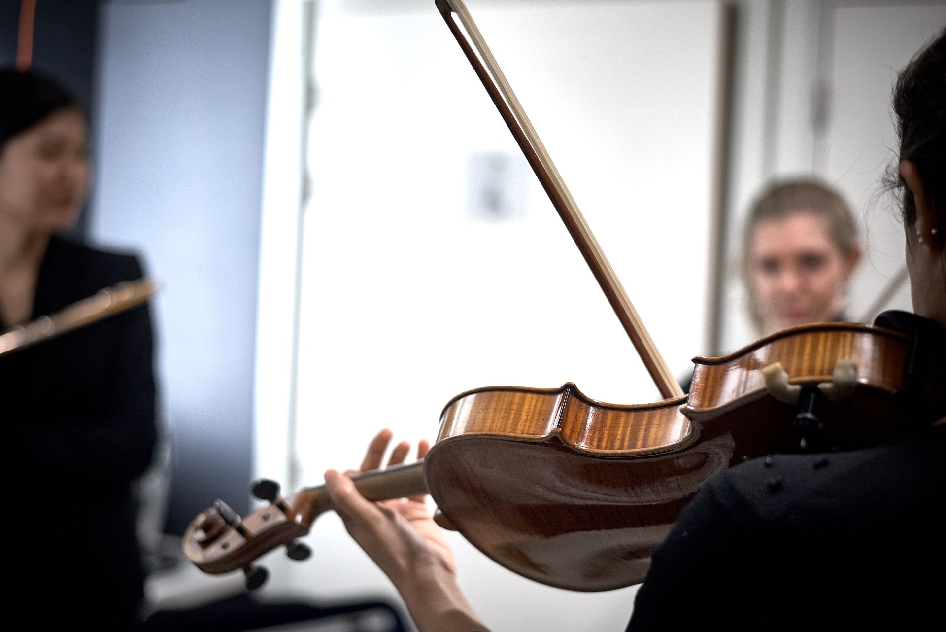 À la découverte des instruments : les cordes