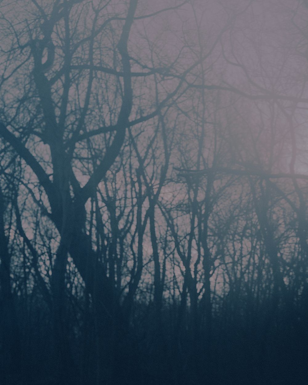 Hansel et Gretel - Mulhouse