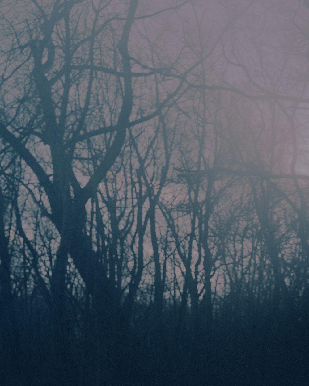 Hansel et Gretel - Mulhouse