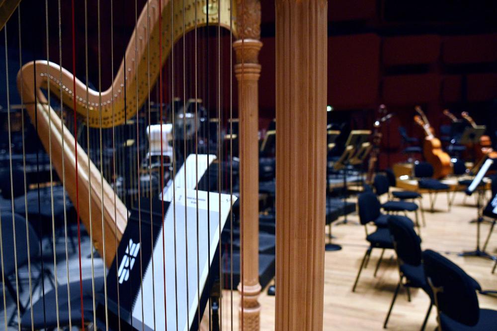 A la découverte des instruments : la harpe