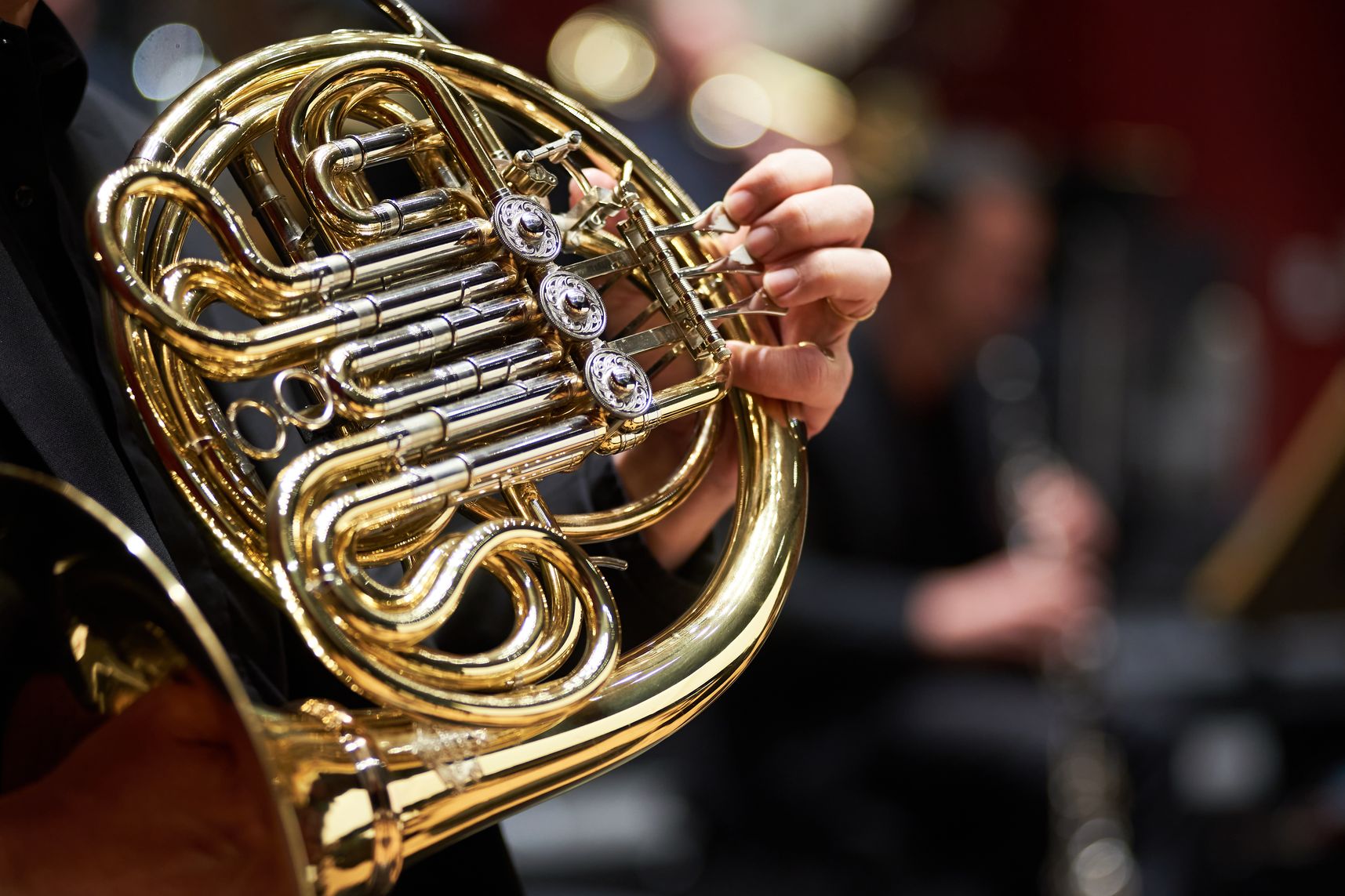 À la découverte des instruments : les cuivres