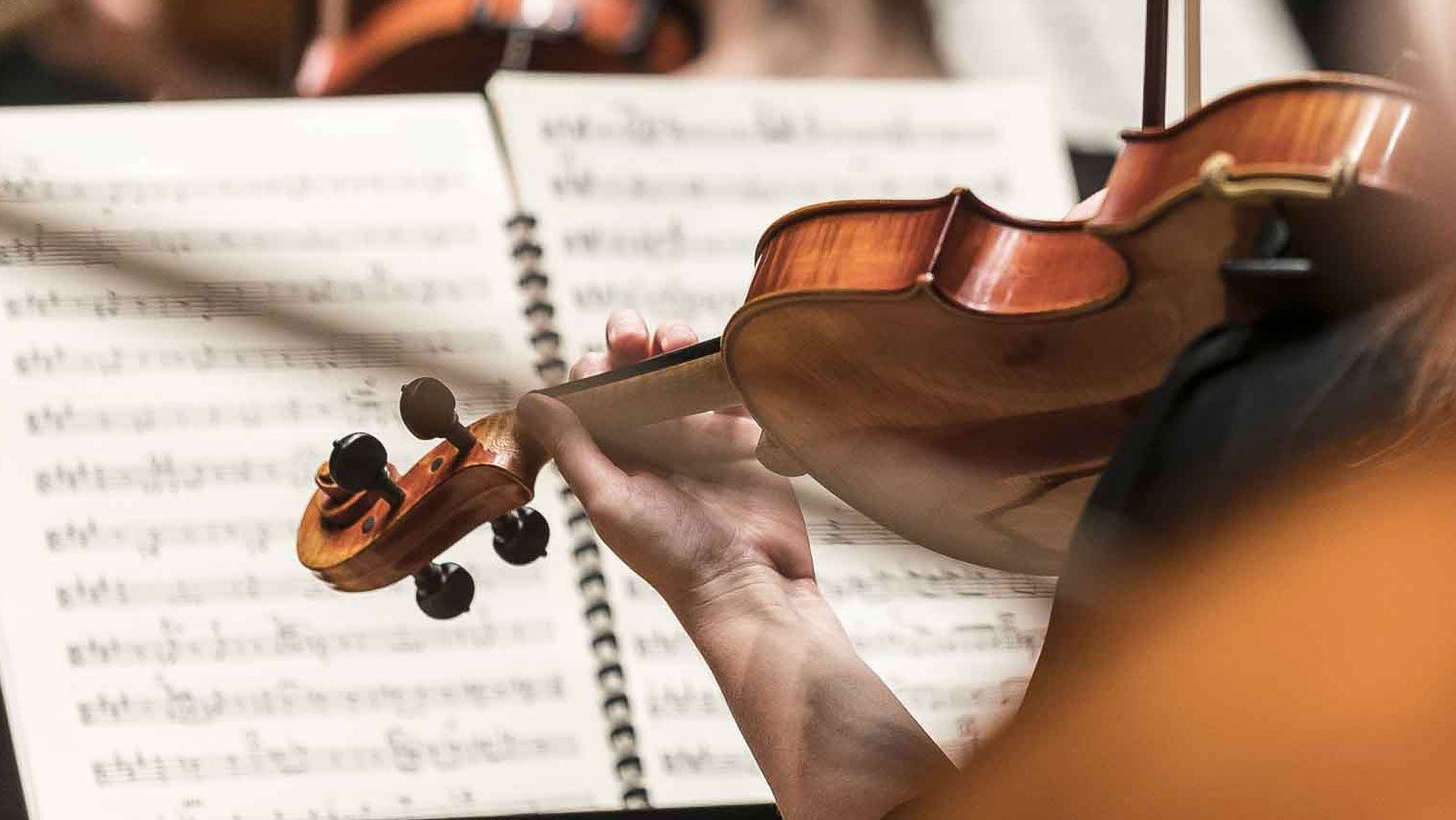 A la découverte des instruments : les cordes
